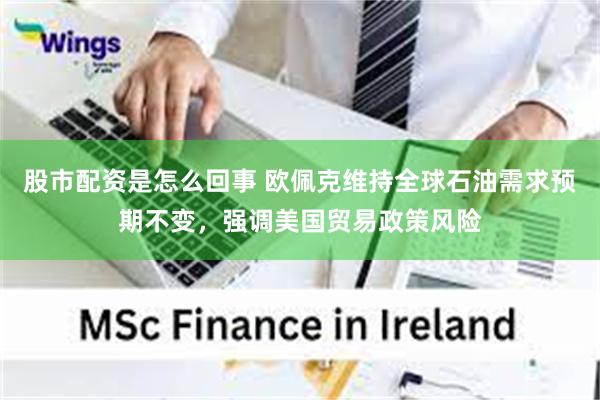 股市配资是怎么回事 欧佩克维持全球石油需求预期不变，强调美国贸易政策风险