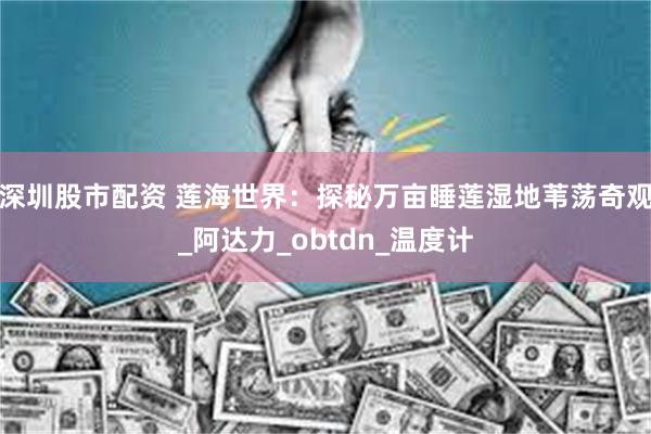 深圳股市配资 莲海世界：探秘万亩睡莲湿地苇荡奇观_阿达力_obtdn_温度计
