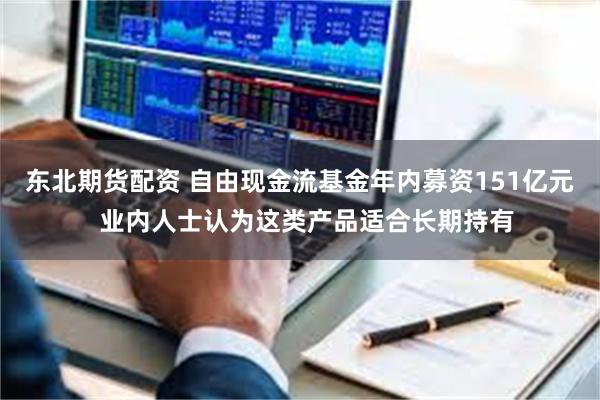 东北期货配资 自由现金流基金年内募资151亿元  业内人士认为这类产品适合长期持有