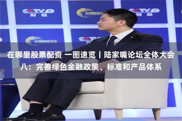 在哪里股票配资 一图速览丨陆家嘴论坛全体大会八：完善绿色金融政策、标准和产品体系