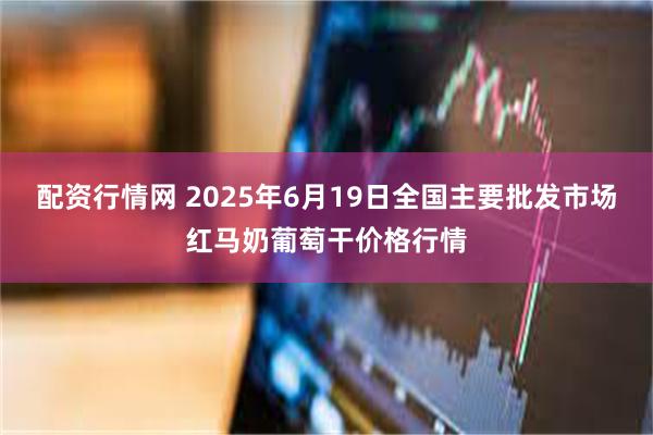 配资行情网 2025年6月19日全国主要批发市场红马奶葡萄干价格行情