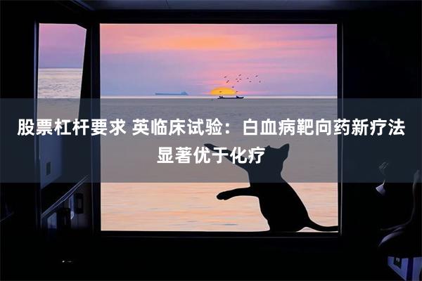 股票杠杆要求 英临床试验：白血病靶向药新疗法显著优于化疗
