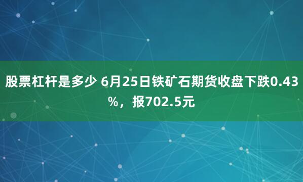 股票杠杆是多少 6月25日铁矿石期货收盘下跌0.43%，报702.5元