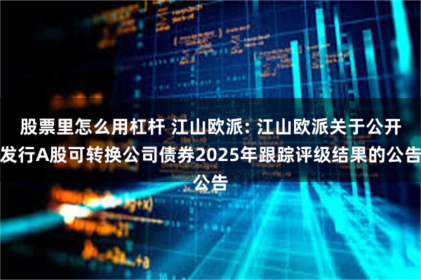 股票里怎么用杠杆 江山欧派: 江山欧派关于公开发行A股可转换公司债券2025年跟踪评级结果的公告